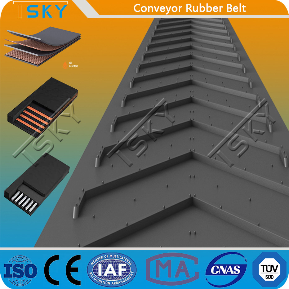 High Tensile Strength EP800/4 Conveyor Rubber Belt